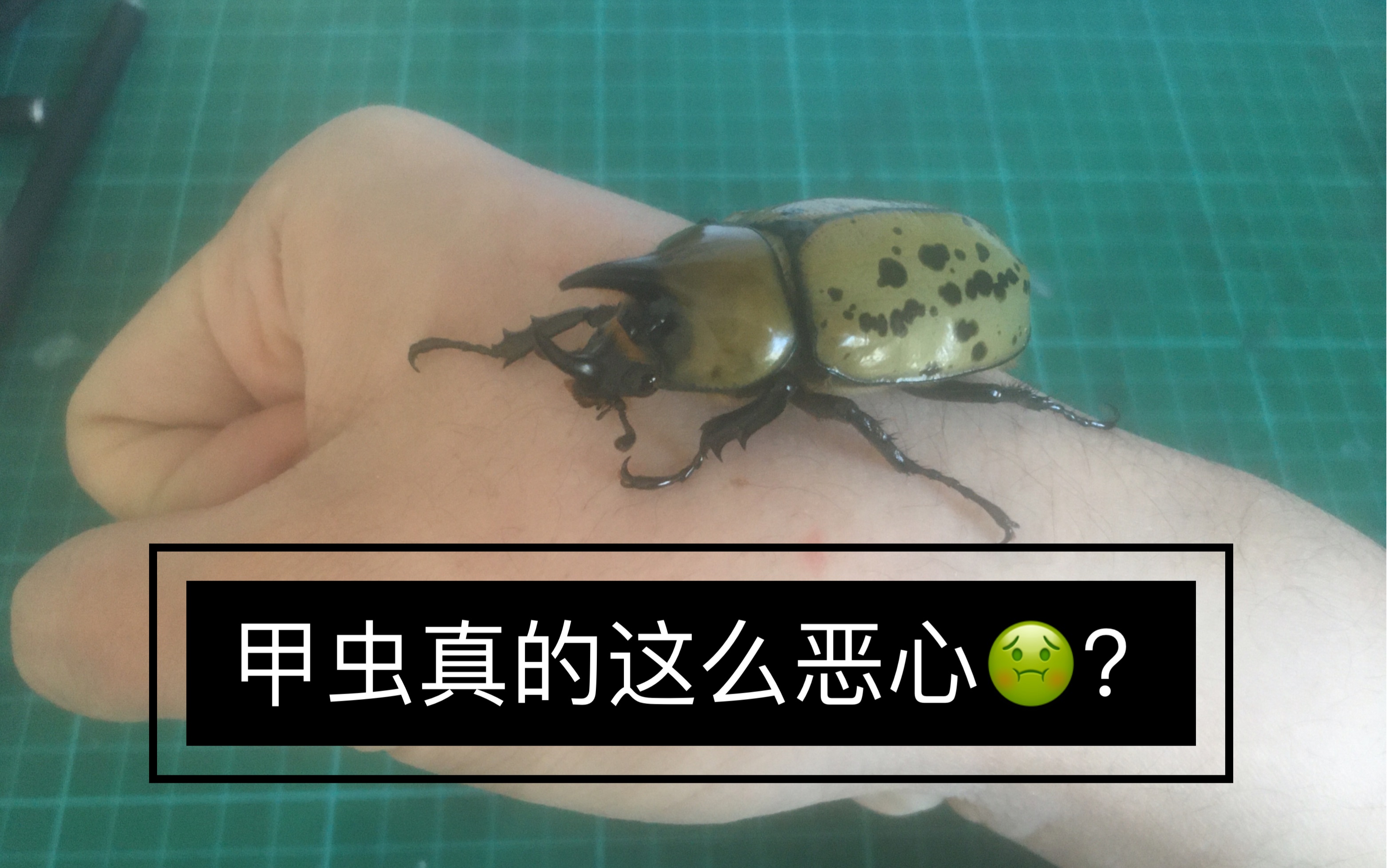 包含@蝨.栞%錌€?F擣>p瀏癯鉡崁???硫I憪╁?xR??噑?€qt7?_W宄N磱劐5躌9茟J?,!潰$蟆u魱q塭5?!經?&amp;郵Z彗%鞺l鼀A?	溙y荶a輏L賁bk??\?帙萤+?d僙A?S?mk/瑸i@~c拶姬q縐C>"Vシb孎?媊20??qL~B橐?蠃裦#孉Hy佽5>wp?嫩蹯-九游体育